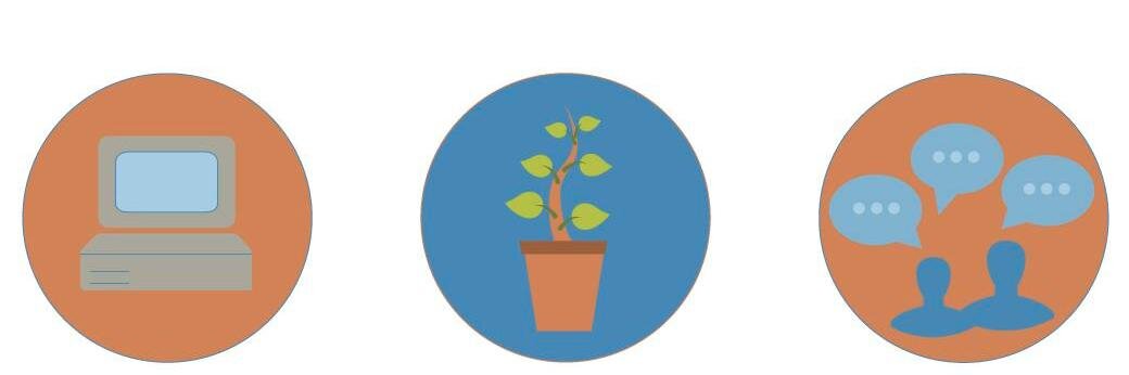 coinculture's profile banner image
