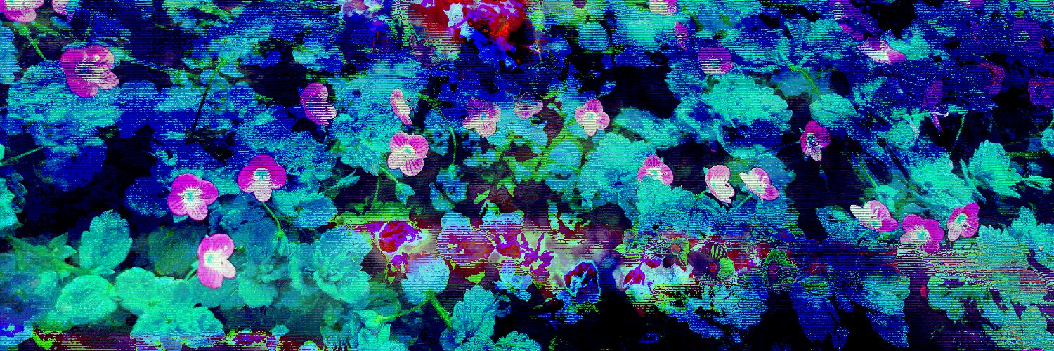 Tedw_rd's profile banner image