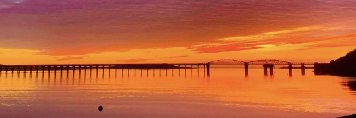 WildeWildestacy's profile banner image