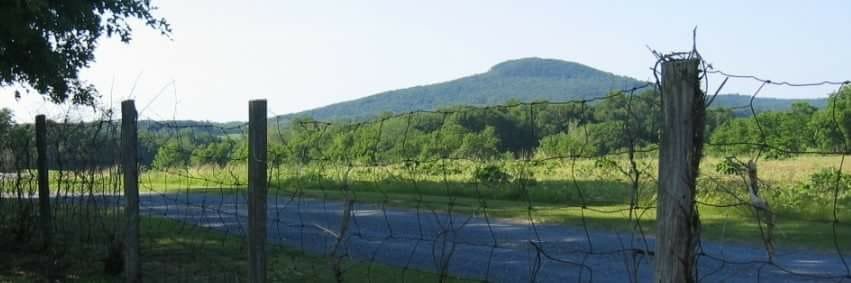 Poolesville Green banner