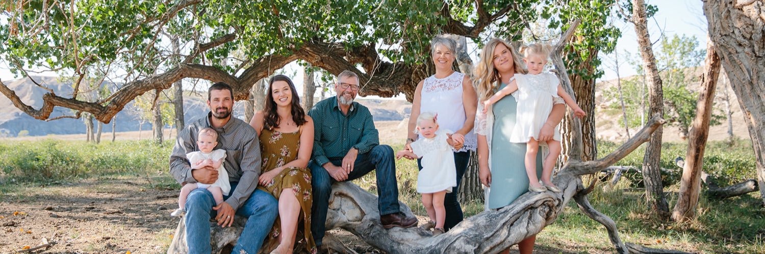 KCL Cattle Company banner