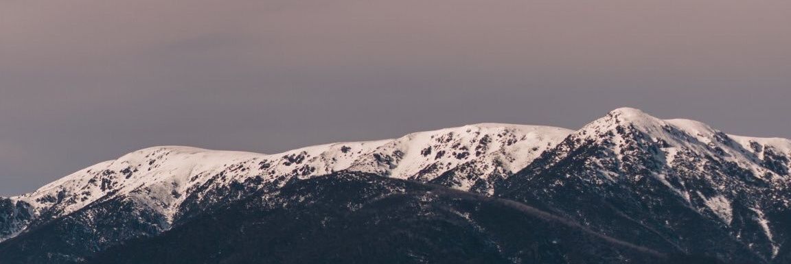 bellacesaria's profile banner image