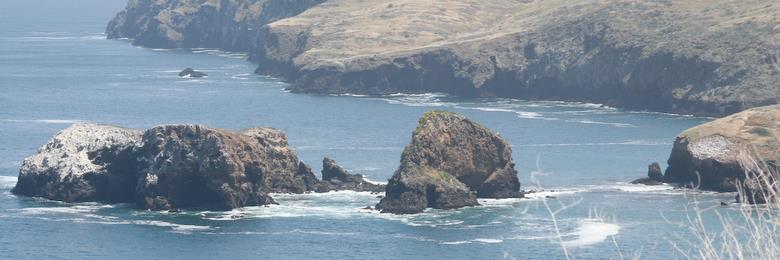 Island Packers banner