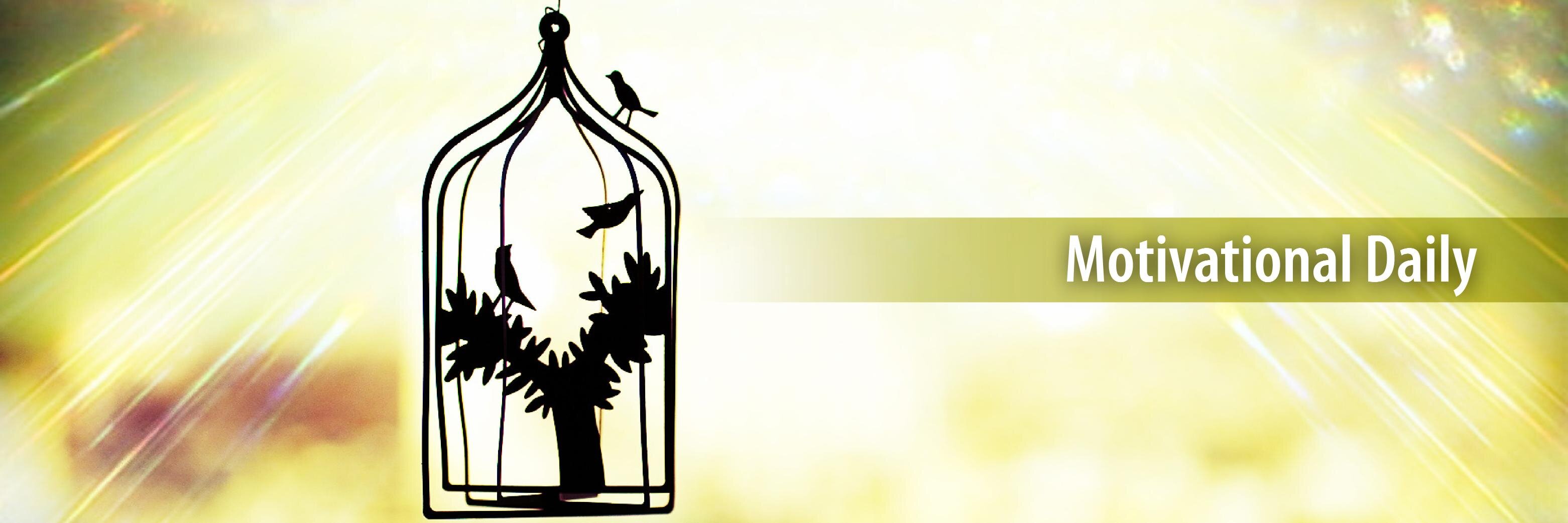 Motiv_Daily's profile banner image