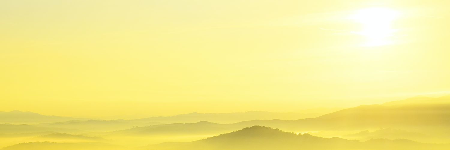 zarpriscilla's profile banner image