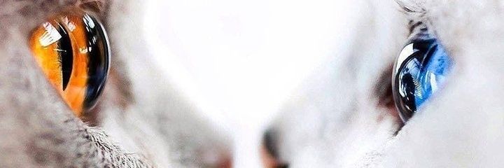 nursyahriia's profile banner image