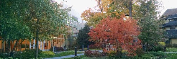 ERPlimackMD Profile Banner