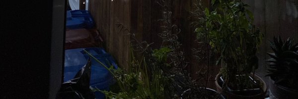 milenium0 Profile Banner