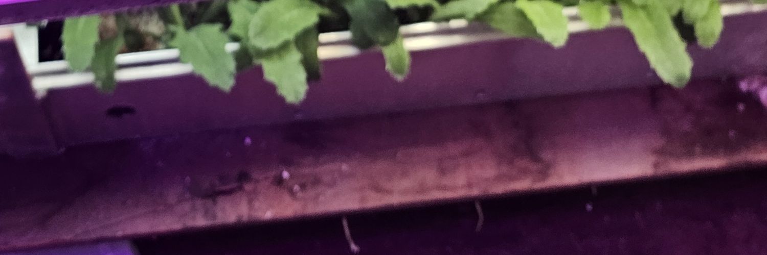 trebmal35's profile banner image