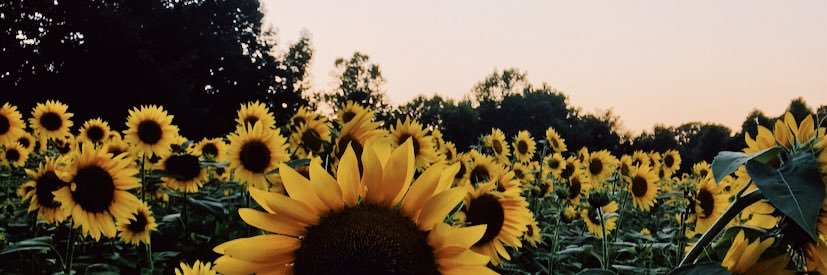 Amanda_QBush's profile banner image