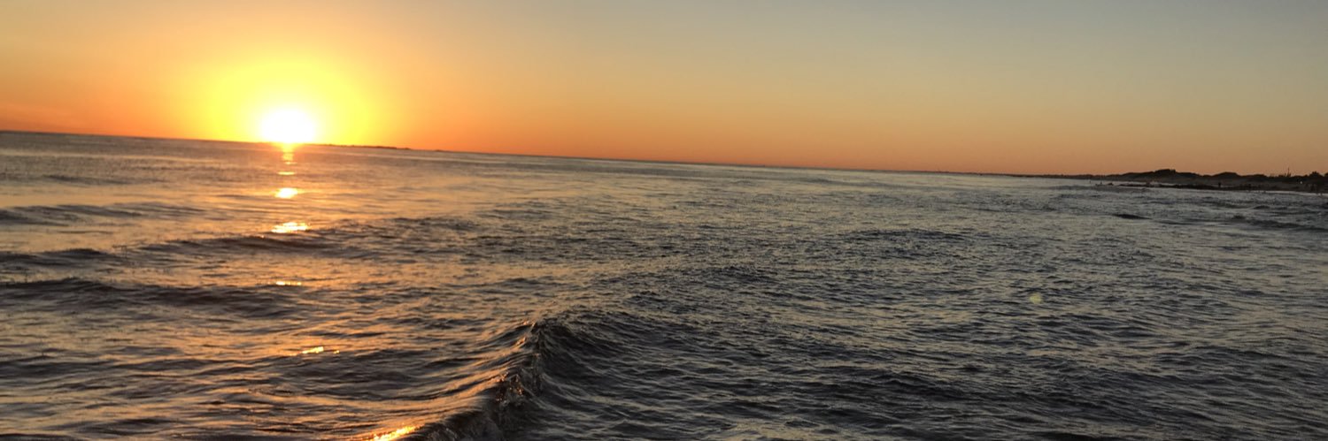 borleni's profile banner image