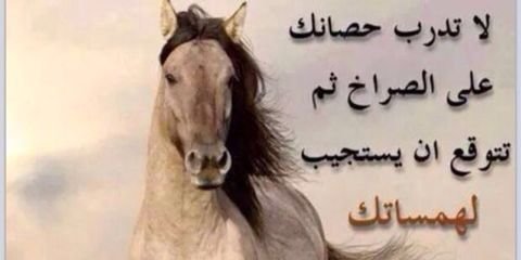 د. سلمان الفرج banner