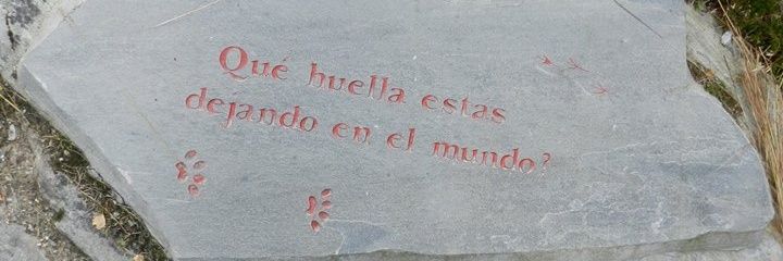 judithmojeda's profile banner image