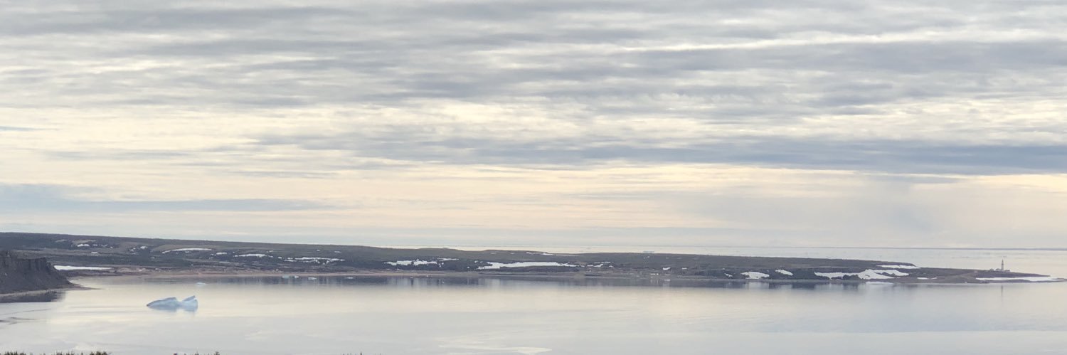 Labrador Straits HDC banner