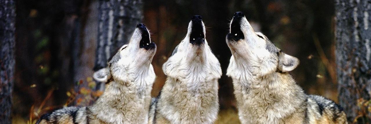 AlperenDogu_'s profile banner image