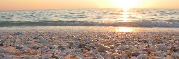 blytheti Profile Banner