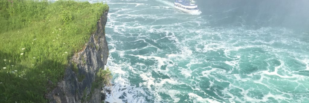 Noreen Wheeler banner