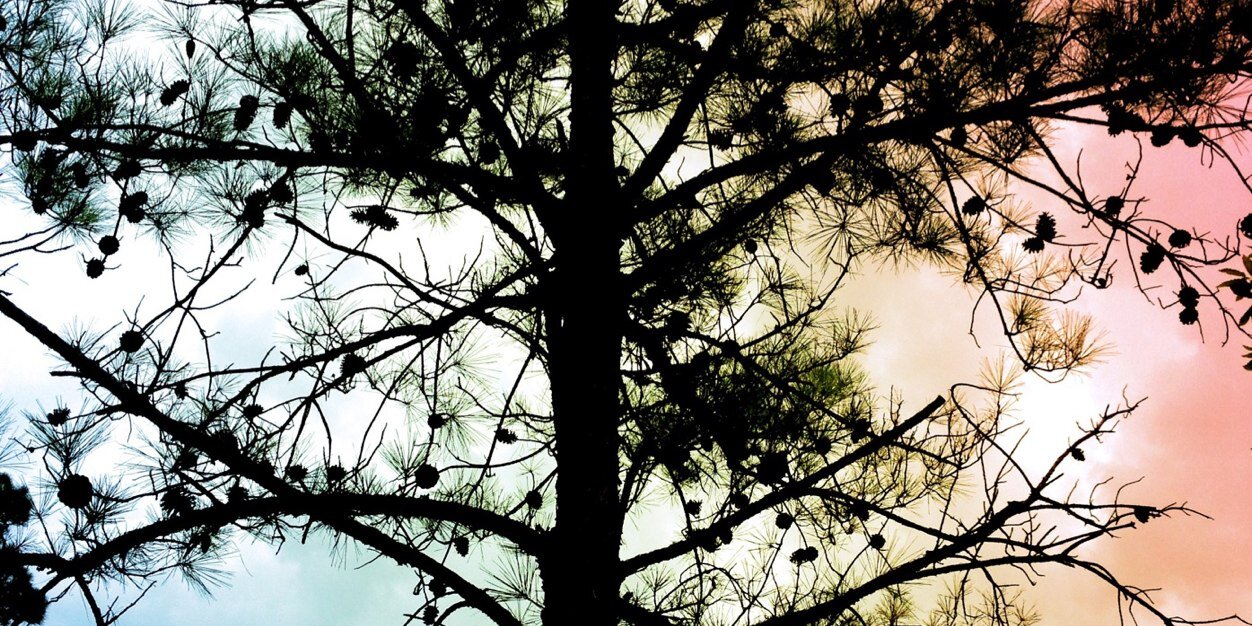 ferfloresu's profile banner image