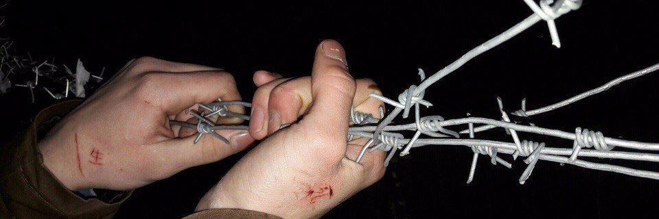 котиков  banner