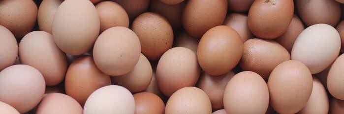 Twitter banner for @egging