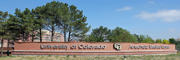 CU Neurology banner