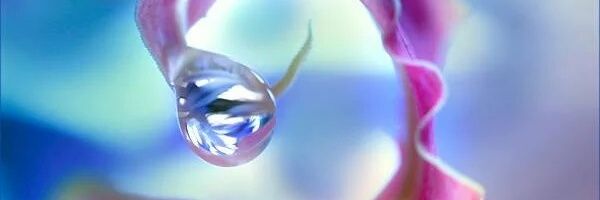 AbdukarimL's profile banner image