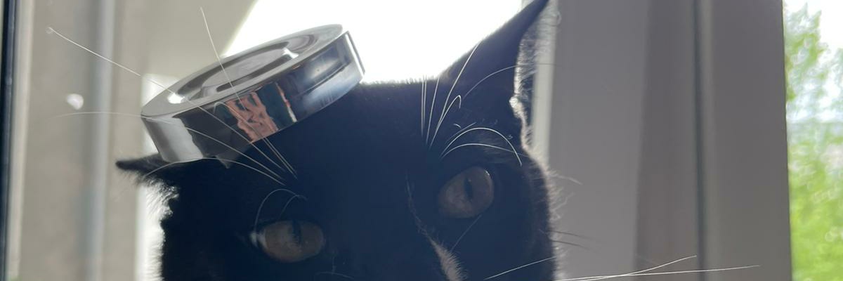 bentsche00's profile banner image