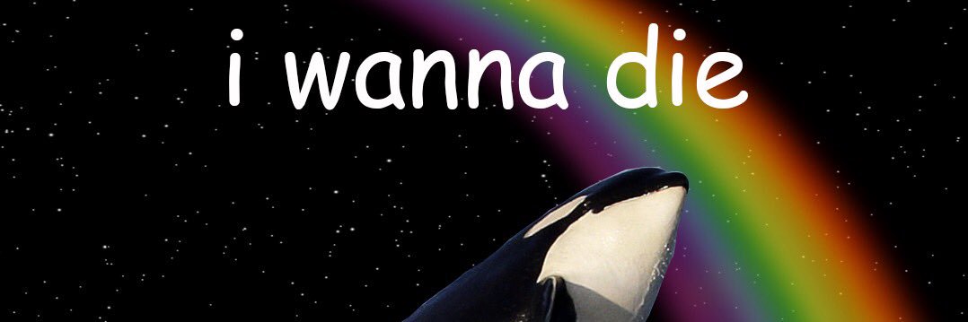 _aiarys's profile banner image