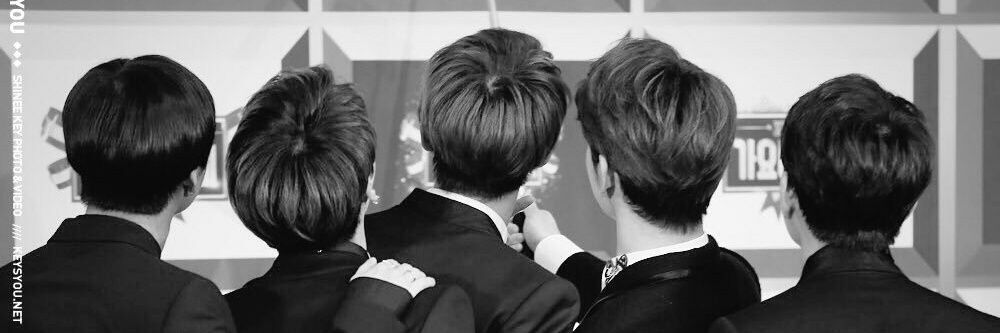 dandelulaion's profile banner image