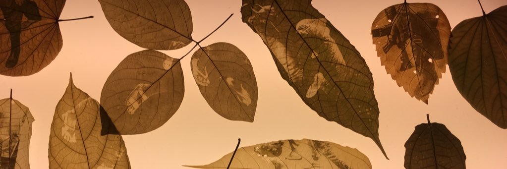fruitbat_'s profile banner image