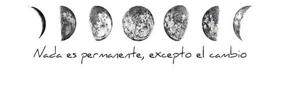 Camila banner