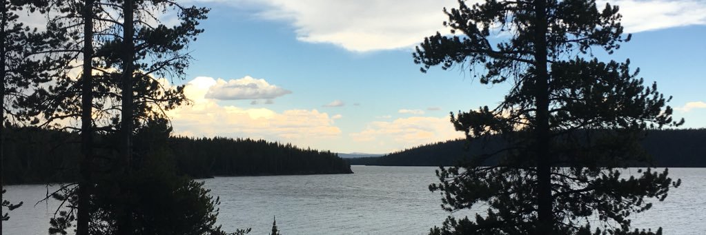 Bryan on Scouting banner