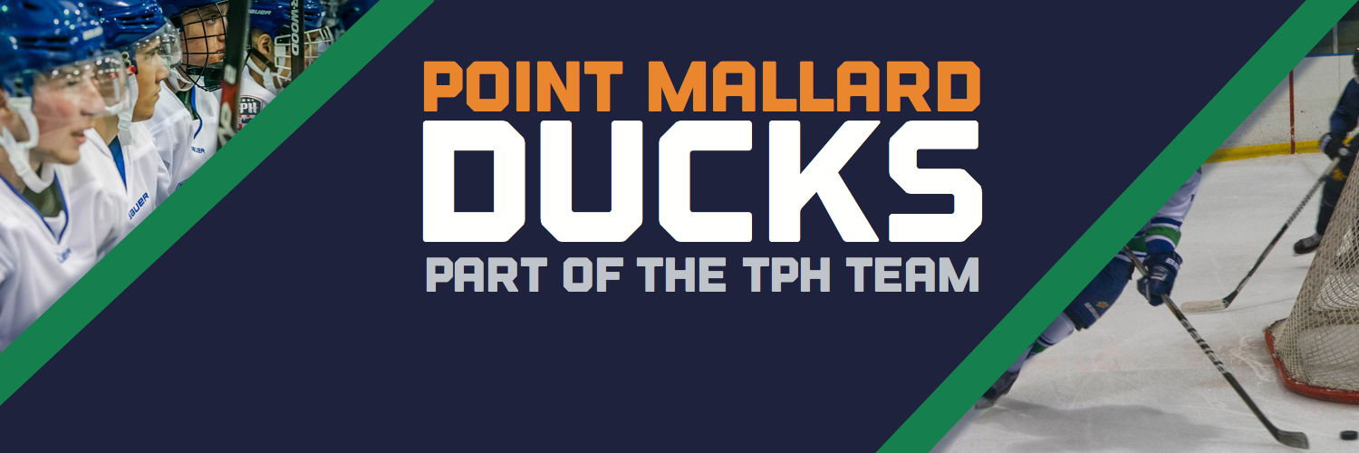 Point Mallard Ducks banner