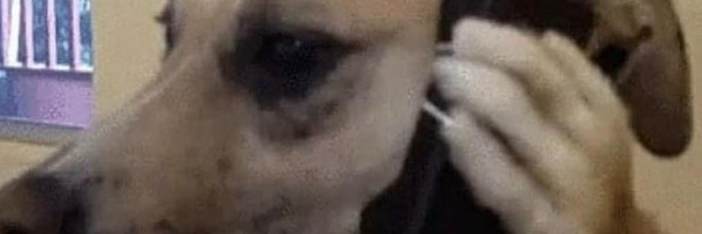 SpaceCarvs's profile banner image