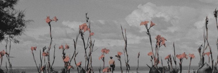 nurulputriocta's profile banner image