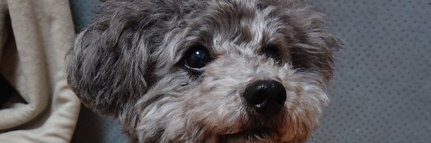 alzart's profile banner image