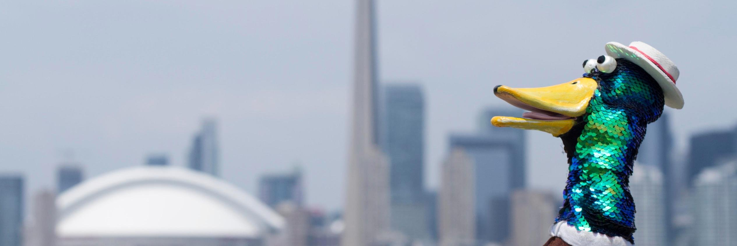 duckformayor's profile banner image