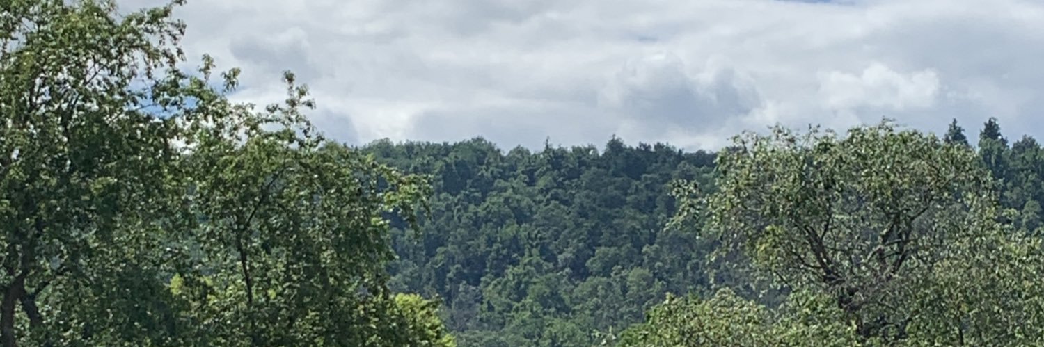 Isabel Fattal banner