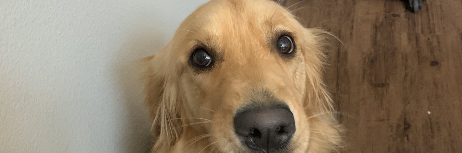 JackieMP11's profile banner image
