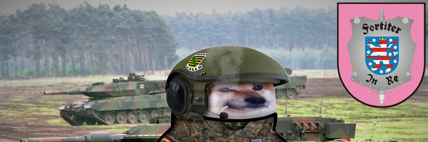 Kay M - NAFO DACH battalion 🚄🚈🚞🚃's banner