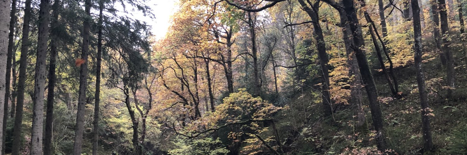 EmmaHislop91's profile banner image