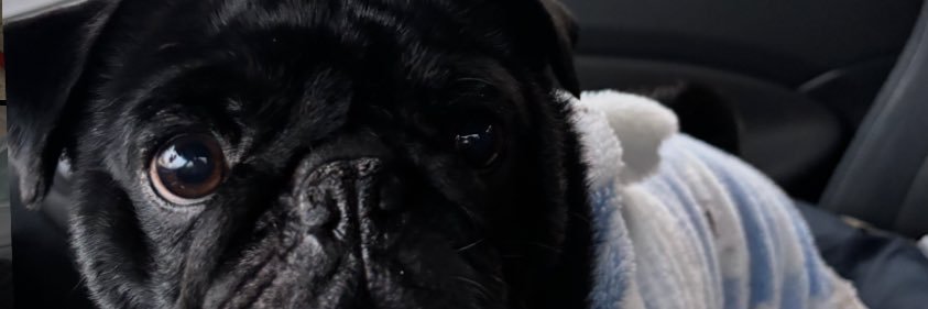 FadedJamesc's profile banner image