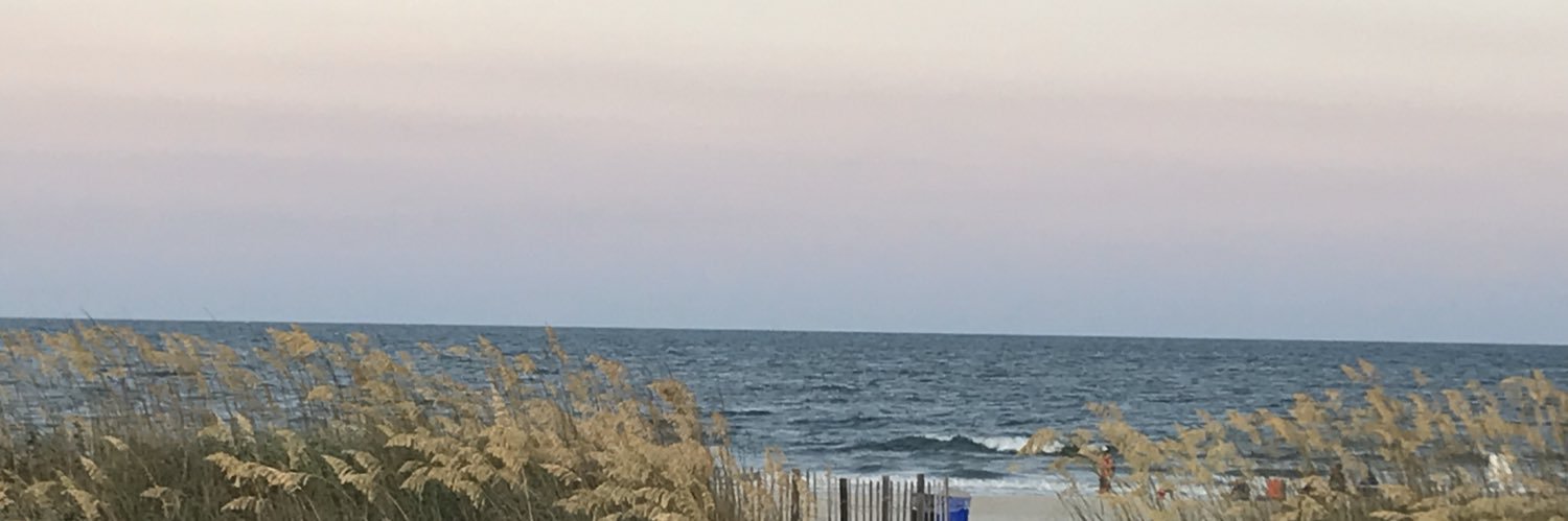 PaulineBenich's profile banner image