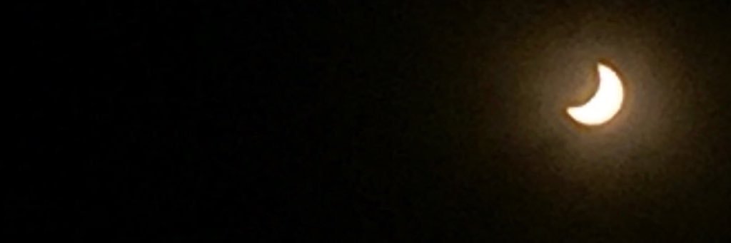 Peeepasaurus's profile banner image