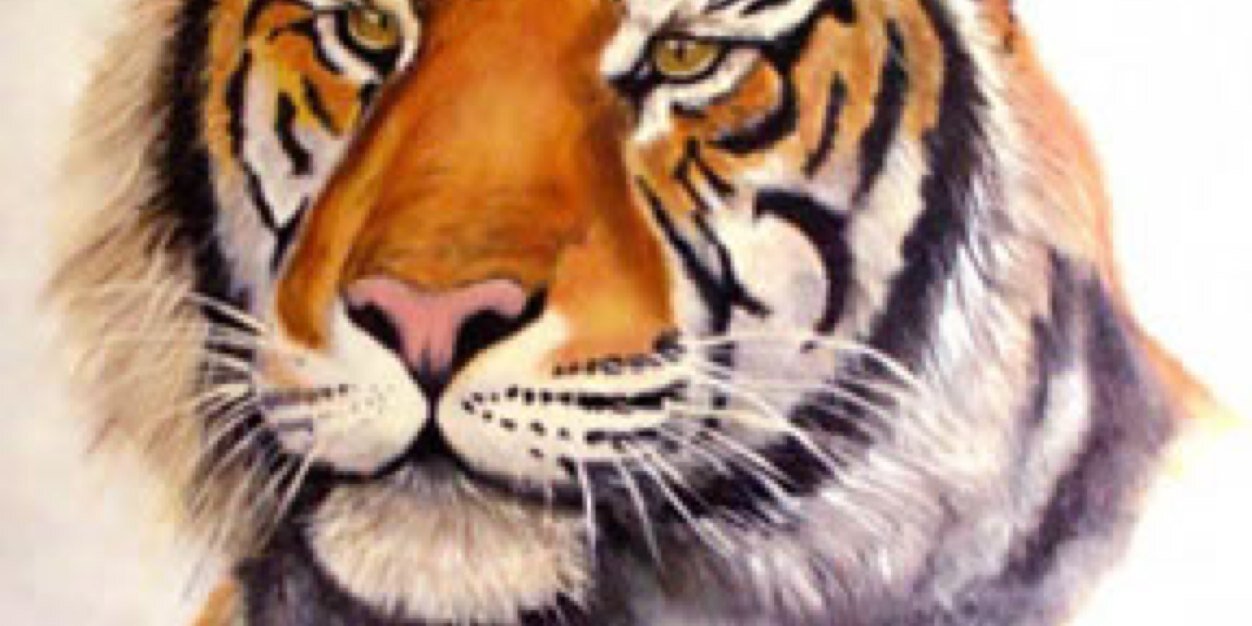 lucerodan81's profile banner image