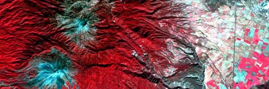 UT_GRG_Advising banner