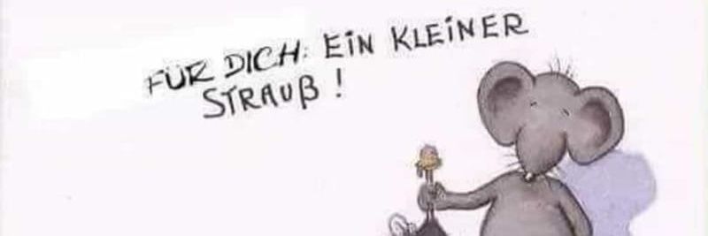 Kuerzelchen's profile banner image