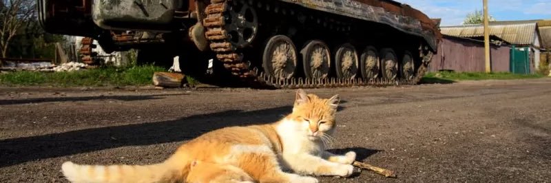 Julie Newark Hall banner