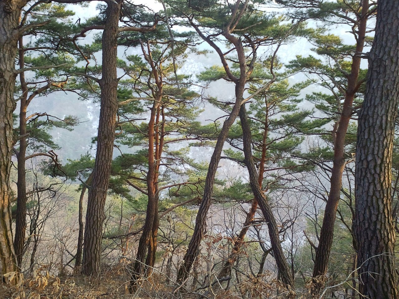 timbusseccus's profile banner image