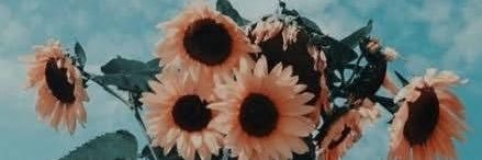 lindsaybeechem's profile banner image
